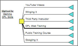 DPL Web Training Wins!