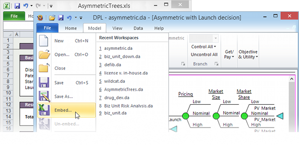 Embedding a DPL Workspace in an ExcelWorkbook